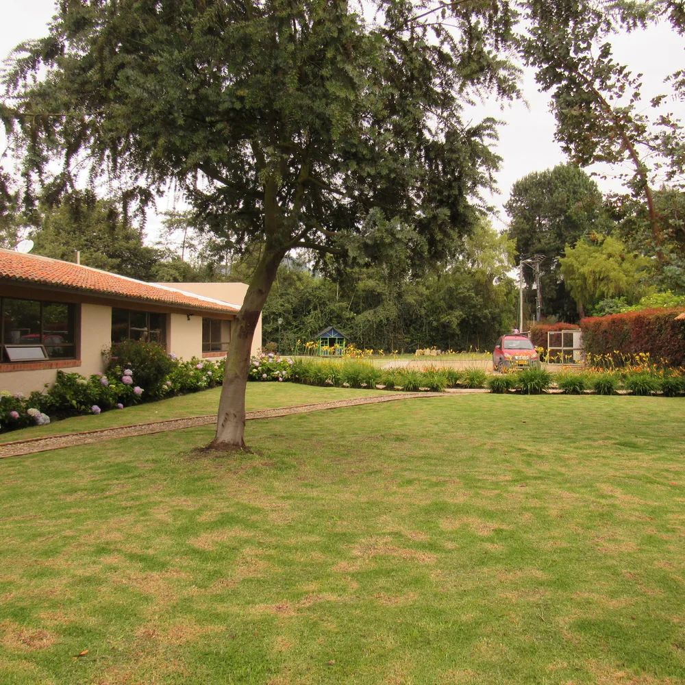 Jardín con un árbol grande frente a los salones de teja