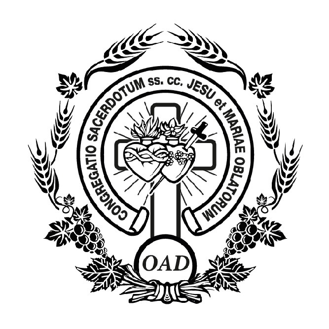 Padres Oblatos Cajicá - Aliados GSS